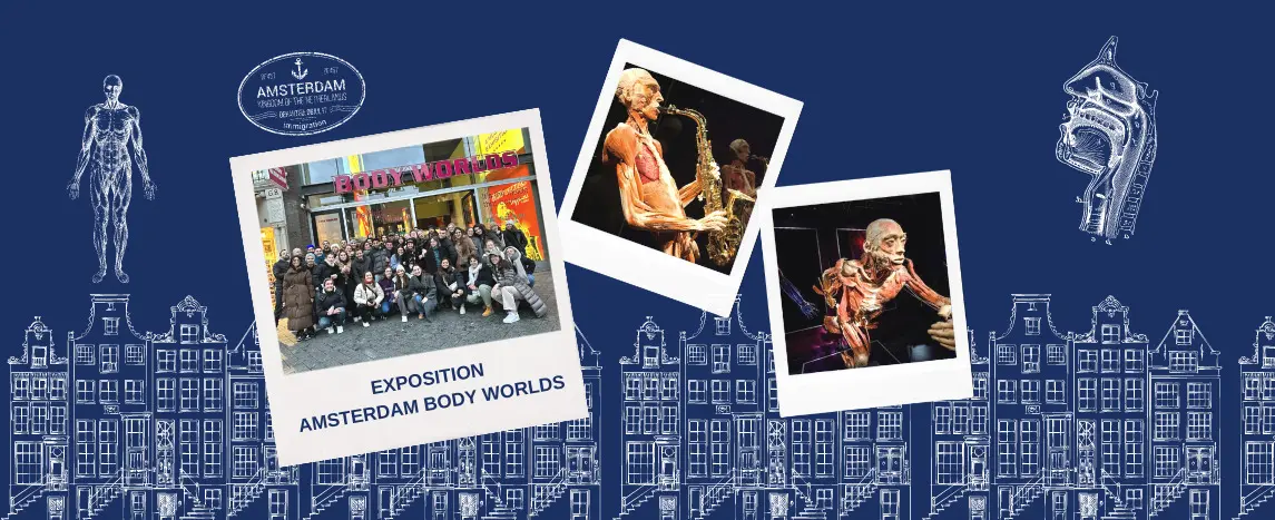 Nos étudiants voyagent à Amsterdam dans le cadre de leurs études d'ostéopathie et découvrent l'exposition Amsterdam Body Worlds !