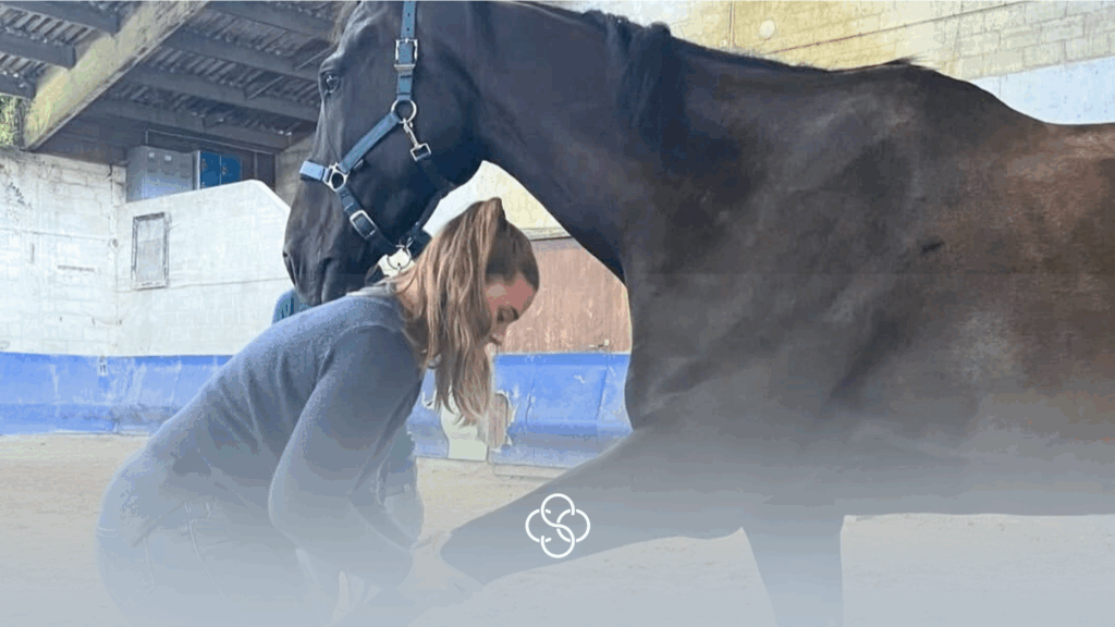 Former les ostéopathes animaliers de demain